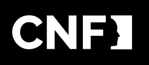 انتخاب نیچ برای کوچ‌ها بر اساس مدل CNF coaching niche finder